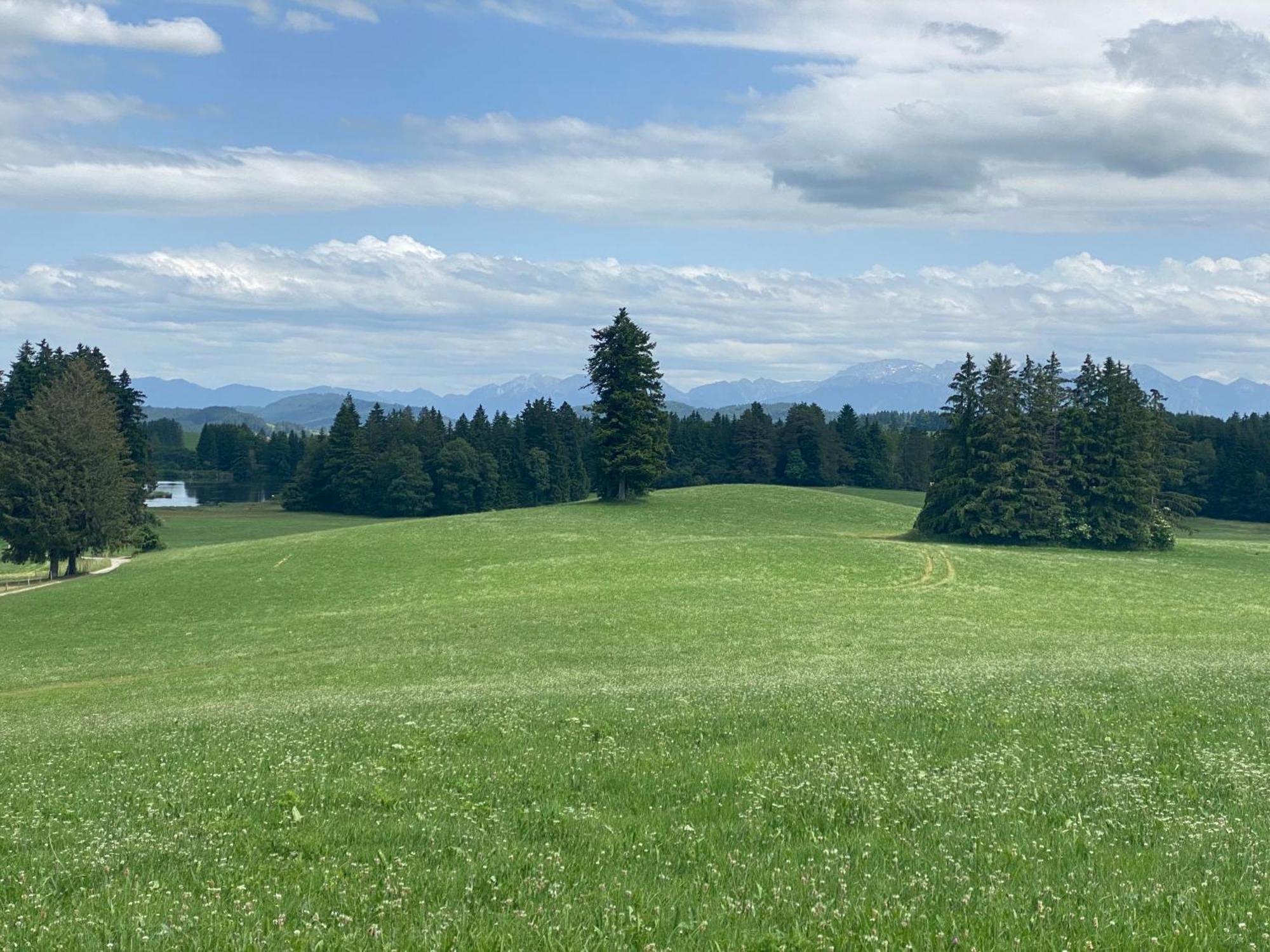 "Allgaeu-Herzl" Alpenchalet Fuer Zwei 루크홀츠 외부 사진